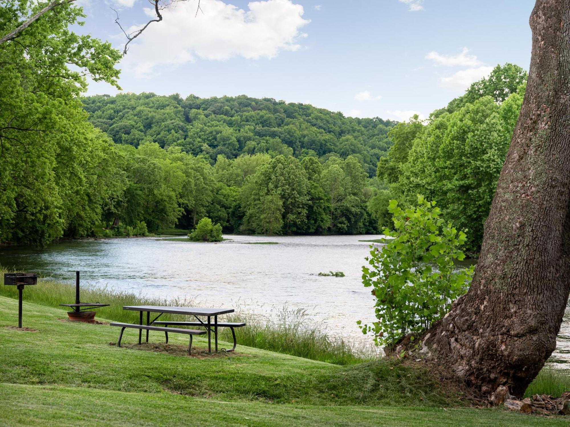 Shenandoah Dog Friendly Cabin With River Access, Hot Tub, Fire Pit, Bbq, Outdoor Dining Εξωτερικό φωτογραφία